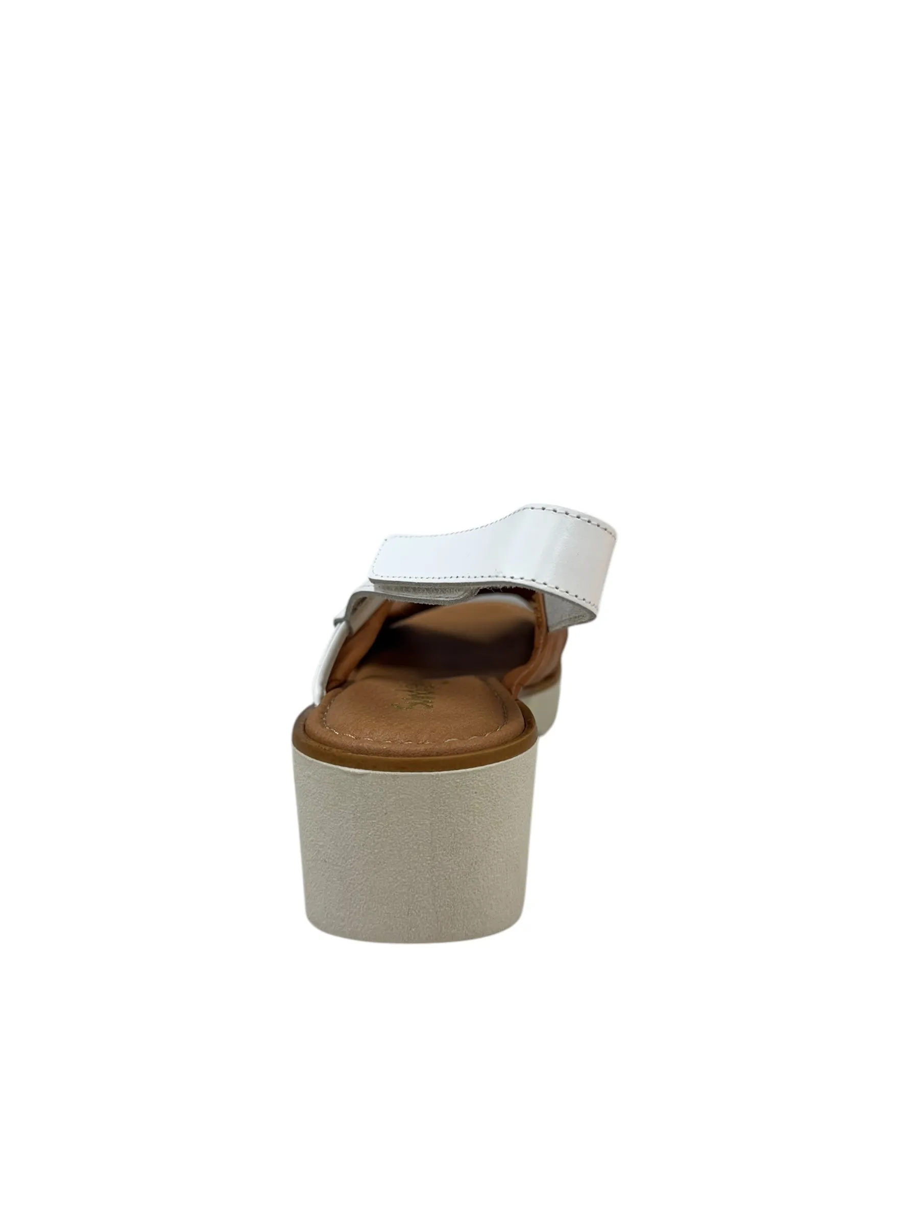 Cedar- Cognac