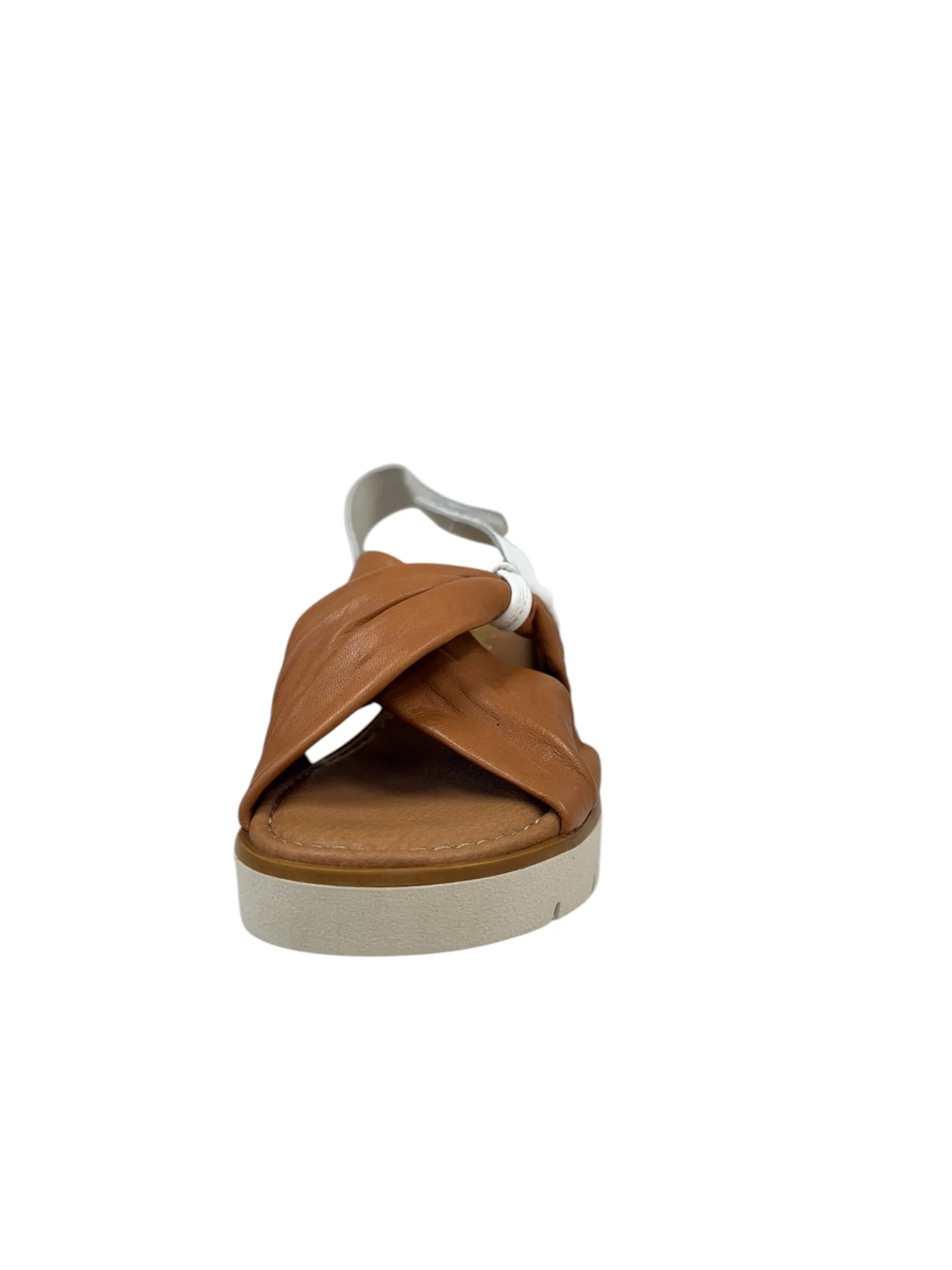 Cedar- Cognac