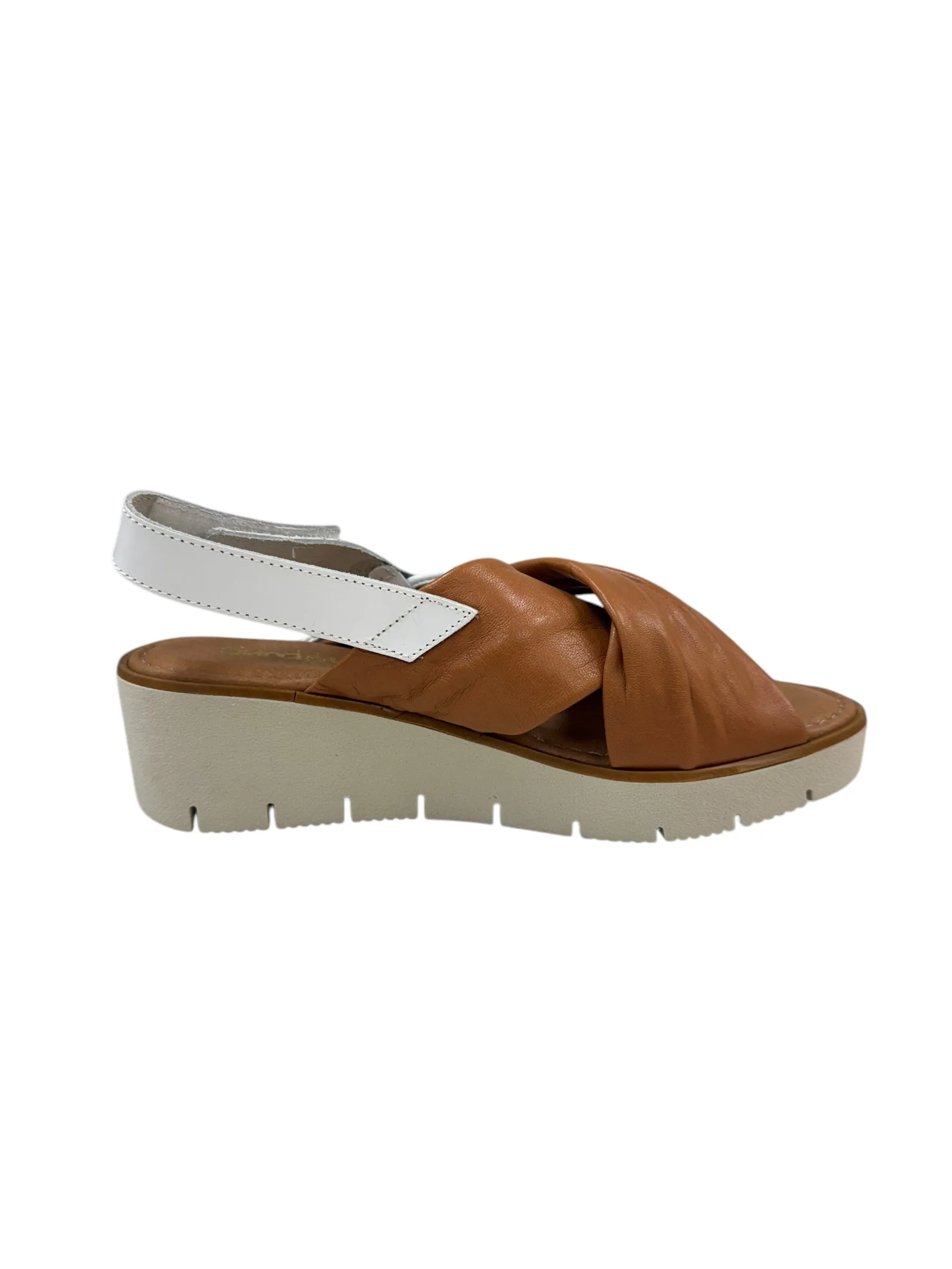 Cedar- Cognac